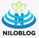 تیم بیت کوین